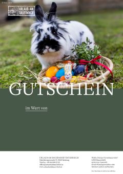 Gutscheinmotiv 8
